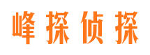 醴陵市婚外情调查